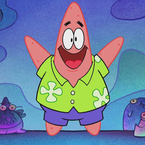 Meet your Posher, Frances